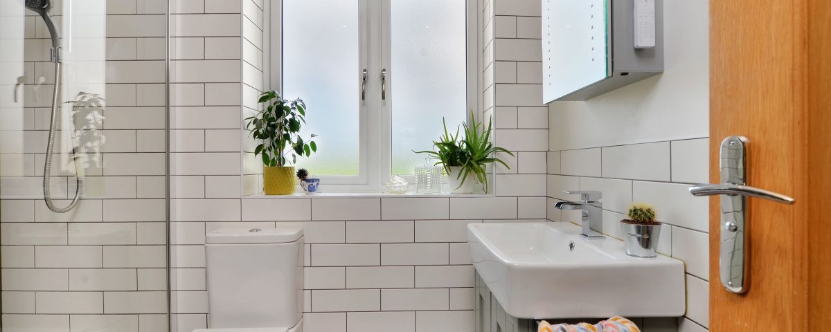 Bathroom Windows